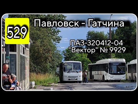 Видео: ЛО, автобус №529 от г. Павловск до г. Гатчина | ПАЗ-320412-04 "Вектор" № 9929
