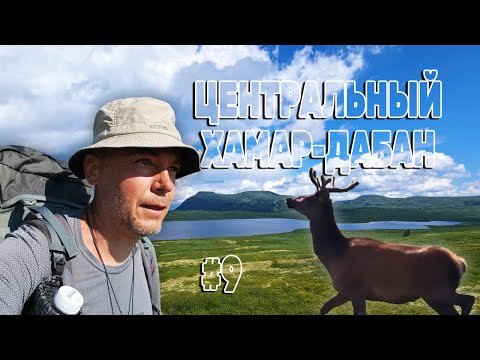 Видео: ОЛЕНИ на озере ПАТОВОМ. СТАРОМОНГОЛЬСКИЙ (комаринский) тракт. Истоки реки ХАРА-МУРИН. 200 км Серия 9