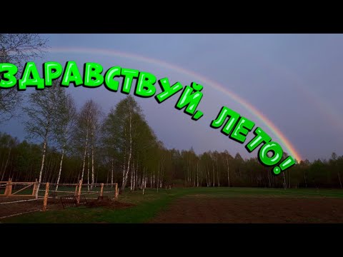 Видео: Здравствуй, лето! А так же комары, оводы и прочие вампиры