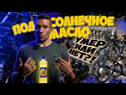 Видео: Вскрыли Кайен после подсолнечного! Умер или выжил?