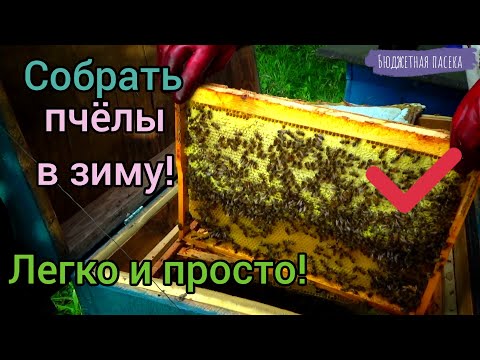 Видео: Сборка пчелиного гнезда в улье лежаке. Всё наглядно в этом видео.