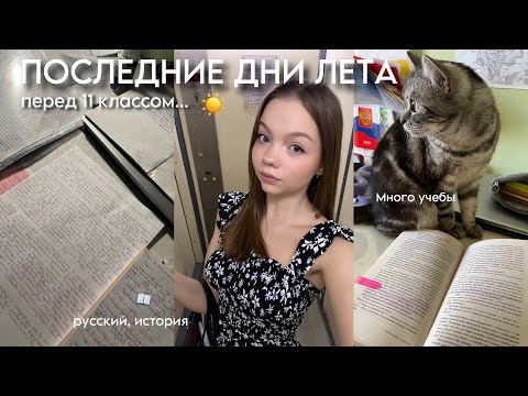 Видео: exam diary: 3 дня до школы🥲, мои последние летние каникулы