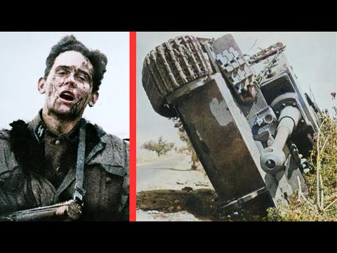 Видео: Ужас, с которым столкнулись экипажи танков «Тигр»