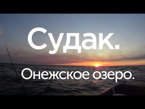 Видео: Судак  Онежское озеро