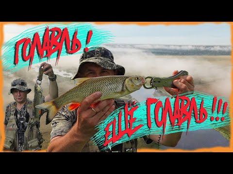 Видео: Голавль!  Еще голавль! Рыбалка на верхней Москва реке.