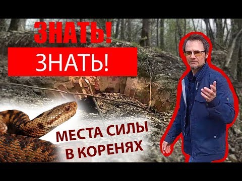 Видео: ЗНАТЬ! Места силы вокруг деревни Корени.
