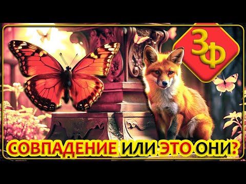 Видео: 204 Умершие являются нам в виде животных | Истории Зрителей