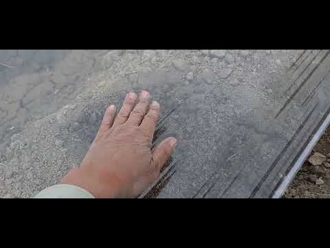 Видео: Тарвуз экишни бошладик 2024.04.12.