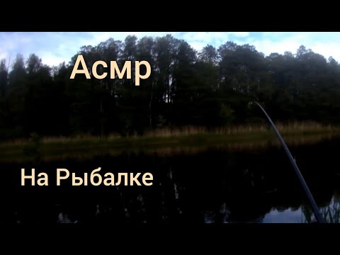 Видео: АСМР на рыбалке