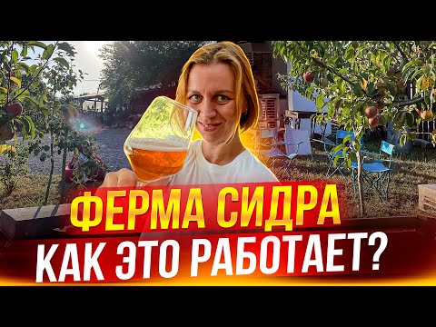 Видео: ФЕРМА СИДРА. Как делают НАСТОЯЩИЙ КРАФТОВЫЙ СИДР? Стоимость, методы и секреты производства.