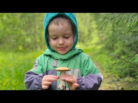Видео: Отпуск в деревне/Часть 1