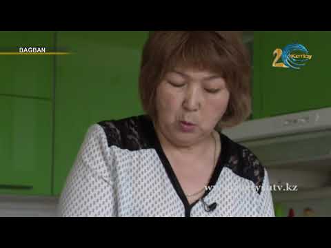 Видео: Бағбан - Бөлме гүлдері (20.04.19)
