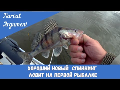 Видео: Хороший новый спиннинг ловит на первой рыбалке!!! Narval Argument 76MMH