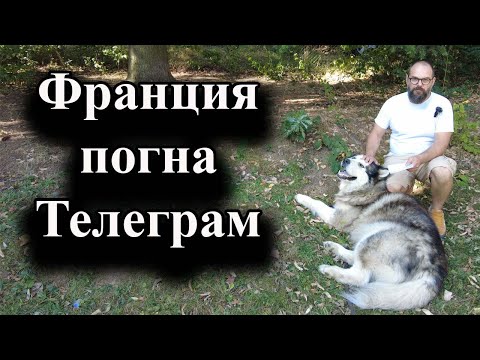 Видео: Павел Дуров бе арестуван в Париж – 25.08.2024 г.