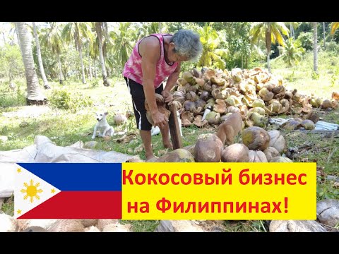Видео: Кокосовый бизнес на Филиппинах от простых крестьян и до корпораций.