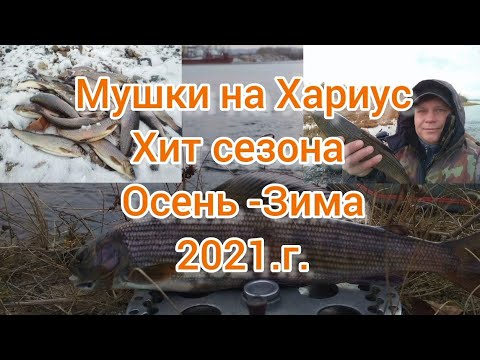 Видео: Мушки на Хариус. Хит сезона Осень-Зима 2021.г.