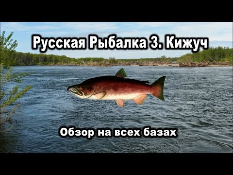 Видео: Русская Рыбалка 3. Кижуч. Обзор на всех базах