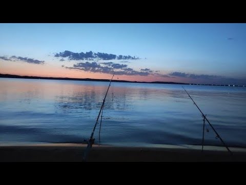 Видео: Шардаринское водохранилище. Сентябрь 2024 года. Много сазанов и прекрасный отдых.