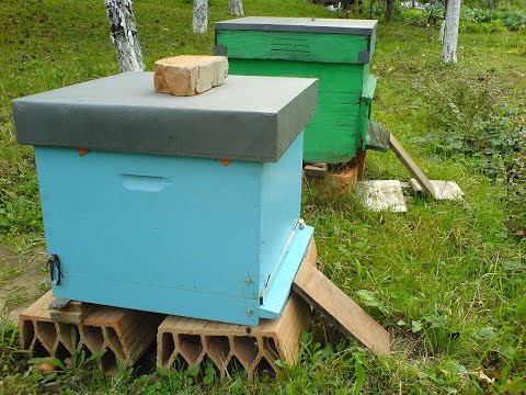 Видео: Малко пояснения за първият ни кошер.