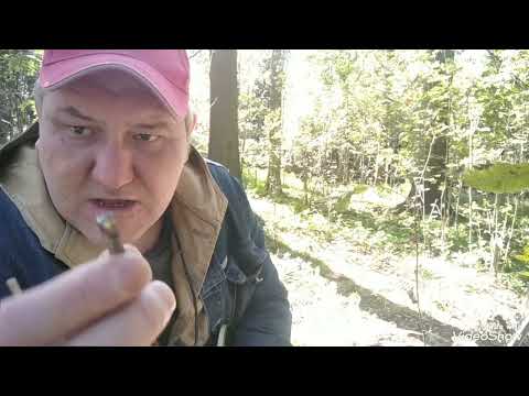 Видео: Поход и рыбалка, как в детстве