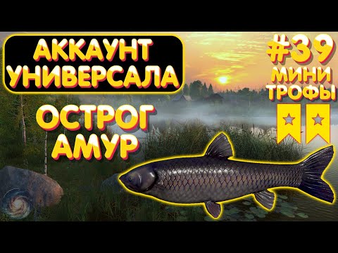 Видео: Аккаунт универсала #39 | Амур Лещ Карась | два мини ТРОФА | оз. Старый Острог | Русская Рыбалка 4