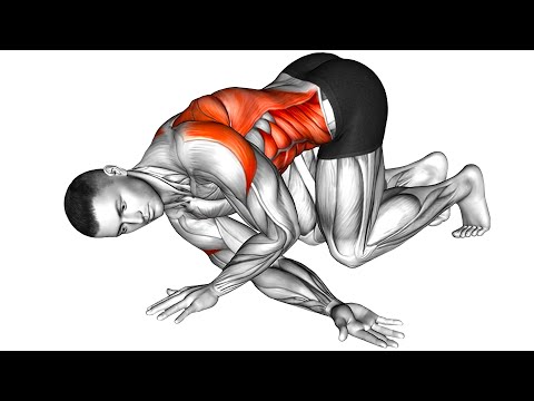 Видео: Растяжка для развития мобильности дома для начинающих