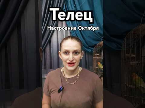 Видео: Телец / Октябрь #таро