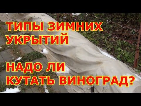 Видео: ЗИМНИЕ УКРЫТИЯ ВИНОГРАДА. Надо ли кутать кусты и когда?