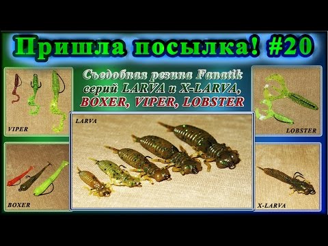 Видео: Пришла посылка! #20 - Съедобная резина Fanatik серий LARVA, X-LARVA, BOXER, VIPER, LOBSTER