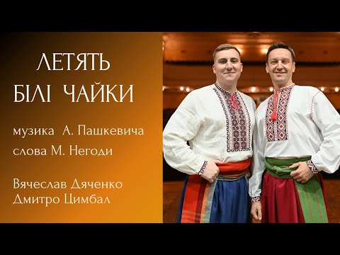 Видео: "Летять білі чайки" музика. А.Пашкевича, слова. М.Негоди.