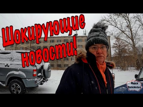 Видео: БУЛЬДОГ НА ГРАНИ СМЕРТИ / РЫЖИЙ УШЕЛ С КАНАЛА / ФОРМАТ 2К / 333 серия (18+)