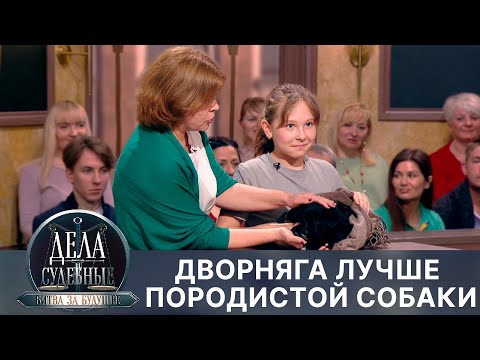Видео: Дела судебные с Алисой Туровой. Битва за будущее. Эфир от 29.03.24