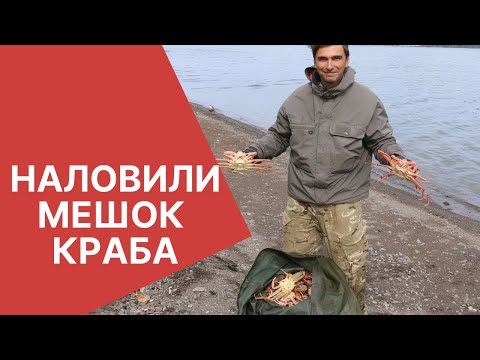 Видео: Ловля краба на Камчатке в Авачинской бухте