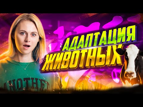 Видео: Адаптации животных | Биология ЕГЭ — Напольская Ксения