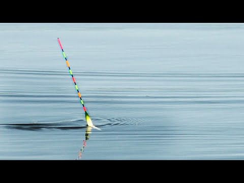 Видео: КАРАСЬ НА ХИТРУЮ СНАСТЬ. РЫБАЛКА НА ПОПЛАВОК ВЕСНОЙ