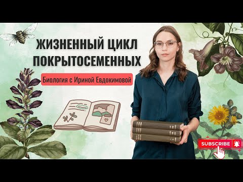 Видео: Жизненный цикл покрытосеменных