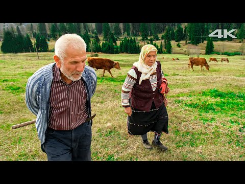 Видео: Жизнь на высоте | Документальный