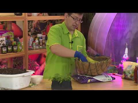 Видео: КОНСУЛЬТАНТ САДОВОДА 298