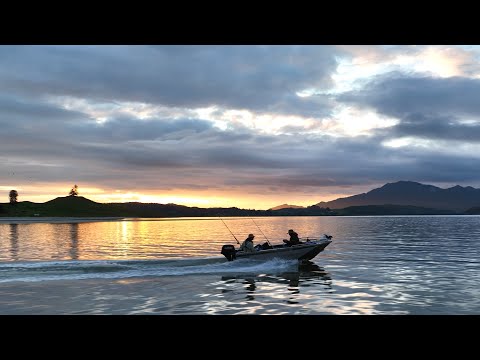 Видео: Рыбалка на Крайнем Севере Новой Зеландии (выловлен новый PB)