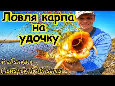 Видео: ЛОВЛЯ КАРПА/РЫБАЛКА НА УДОЧКУ/ПРУД/КАК НАЛОВИТЬ КАРПОВ НА ОЗЕРЕ/РЫБАЛКА В САМАРСКОЙ ОБЛАСТИ/КАРП