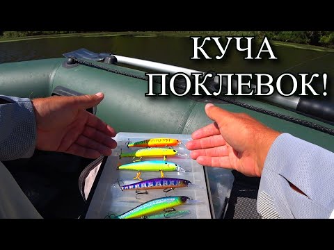 Видео: Этот воблер в этом цвете косит щуку! Осеняя ловля спиннингом.
