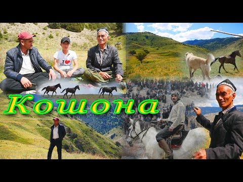 Видео: Сайри куххои д Кошона зодгохи Фармон пахлавон. Точикистон . Зарафшон