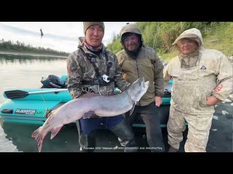 Видео: ПОЛУЧИЛ НОВУЮ ТЕХНИКУ GLADIATOR 40 ВОДОМЁТ