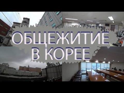 Видео: Общежитие в Сеуле. Кёнхи университет