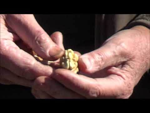 Видео: Последняя листовая подкормка для подготовки орехового сада к зиме  Октябрь 2021