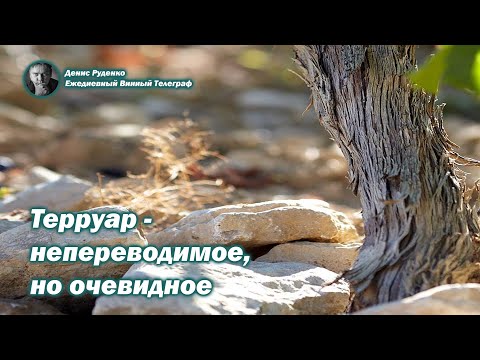 Видео: Терруар - непереводимое, но очевидное