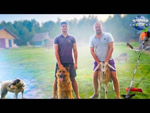 Видео: Один из летних дней на белорусском хуторе.