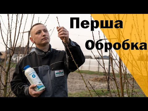 Видео: Перша обробка саду. Медян Екстра для викорінюючої обробки ранньою весною. Кучерявість персика. Мідь