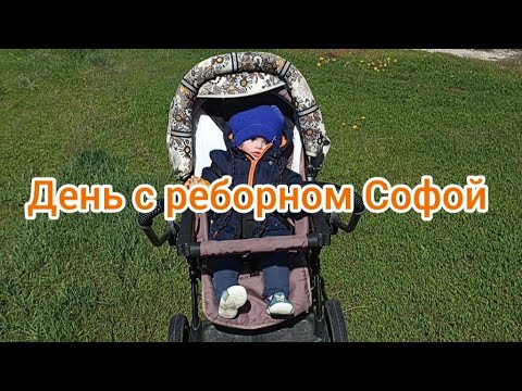 Видео: Vlog//День с реборном Софой//