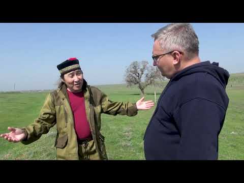 Видео: 2024.04.11 Третий день разведки в Калмыкии / Бага-Чонос - Овата